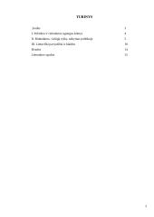 Politinė rinkodara 2 puslapis