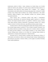 Politiniai režimai 13 puslapis