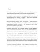 Politiniai režimai 14 puslapis