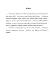 Politiniai režimai 3 puslapis