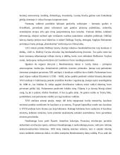 Politiniai režimai 8 puslapis