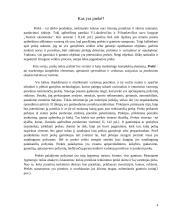 Kas yra prekė? 4 puslapis