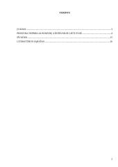 Prekyba, atkūrus Lietuvos nepriklausomybę 2 puslapis