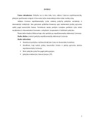 Prekyba, atkūrus Lietuvos nepriklausomybę 3 puslapis