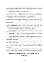 Projektų valdymas bei komandos formavimas 11 puslapis