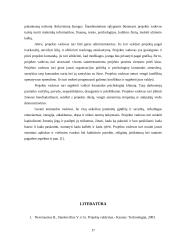 Projektų valdymas bei komandos formavimas 17 puslapis
