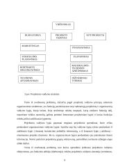 Projektų valdymas bei komandos formavimas 9 puslapis