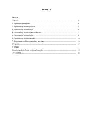 Racionalaus sprendimo priėmimo modelis 2 puslapis