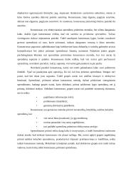 Racionalaus sprendimo priėmimo modelis 12 puslapis