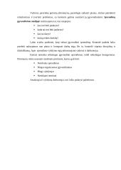 Racionalaus sprendimo priėmimo modelis 16 puslapis