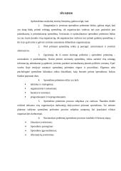 Racionalaus sprendimo priėmimo modelis 17 puslapis