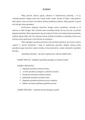 Racionalaus sprendimo priėmimo modelis 3 puslapis