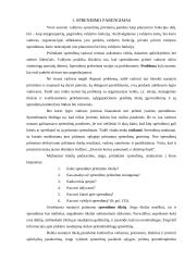 Racionalaus sprendimo priėmimo modelis 4 puslapis