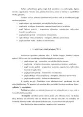 Racionalaus sprendimo priėmimo modelis 6 puslapis