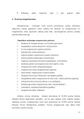 Reinžiringas 16 puslapis