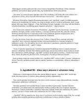 Reklamos technika 13 puslapis
