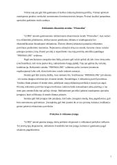 Reklamos tikslai 7 puslapis