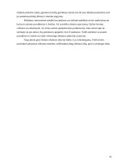 Reklamos tikslai 10 puslapis