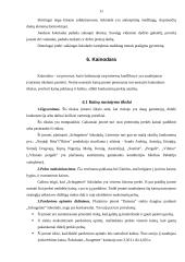 Reklamos paruošimas: šokoladas "Schogetten" 11 puslapis