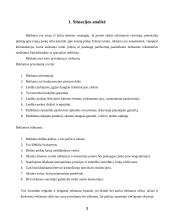 Reklamos planas 3 puslapis