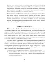 Reklamos planas 5 puslapis