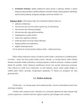 Reklamos planas 6 puslapis