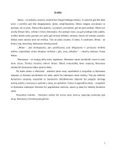 Renesansiškoji meno samprata literatūroje 2 puslapis