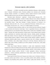 Renesansiškoji meno samprata literatūroje 3 puslapis