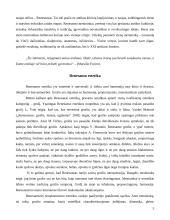 Renesansiškoji meno samprata literatūroje 4 puslapis