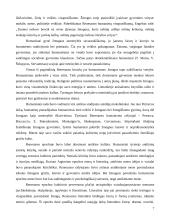 Renesansiškoji meno samprata literatūroje 6 puslapis