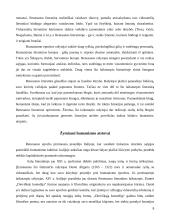 Renesansiškoji meno samprata literatūroje 7 puslapis