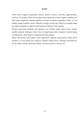 Renginių organizavimo įstaigos Telšių mieste 13 puslapis