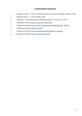 Rentgeno spinduliai, jų išradimo istorija, savybės bei panaudojimas 12 puslapis