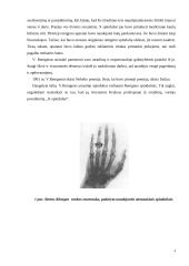 Rentgeno spinduliai, jų išradimo istorija, savybės bei panaudojimas 4 puslapis