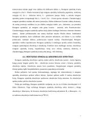 Rentgeno spinduliai, jų išradimo istorija, savybės bei panaudojimas 7 puslapis