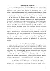 Rentgeno spinduliai, jų išradimo istorija, savybės bei panaudojimas 9 puslapis