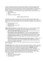 Rinka ir jos samprata 2 puslapis