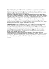 Rinka ir jos samprata 3 puslapis