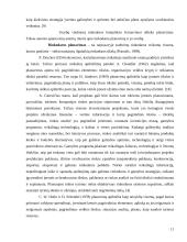 Rinkodaros komplekso formavimo planavimas 11 puslapis