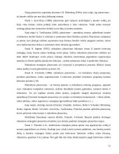 Rinkodaros komplekso formavimo planavimas 12 puslapis