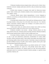 Rinkodaros komplekso formavimo planavimas 17 puslapis