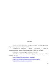 Rinkodaros komplekso formavimo planavimas 18 puslapis