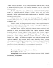 Rinkodaros komplekso formavimo planavimas 3 puslapis