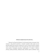 Rinkodaros komplekso formavimo planavimas 4 puslapis