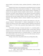 Rinkodaros komplekso formavimo planavimas 5 puslapis