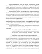 Rinkodaros komplekso formavimo planavimas 8 puslapis