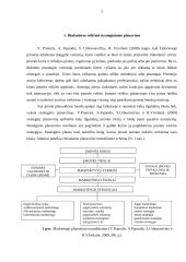 Rinkodaros strategijos formavimo proceso etapai 2 puslapis