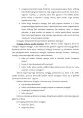 Rinkodaros strategijos formavimo proceso etapai 12 puslapis