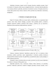 Rinkodaros strategijos formavimo proceso etapai 3 puslapis