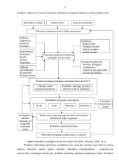 Rinkodaros strategijos formavimo proceso etapai 5 puslapis